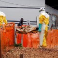 Kongos möllab ebola. Ohvrite arv tõusis 750-ni