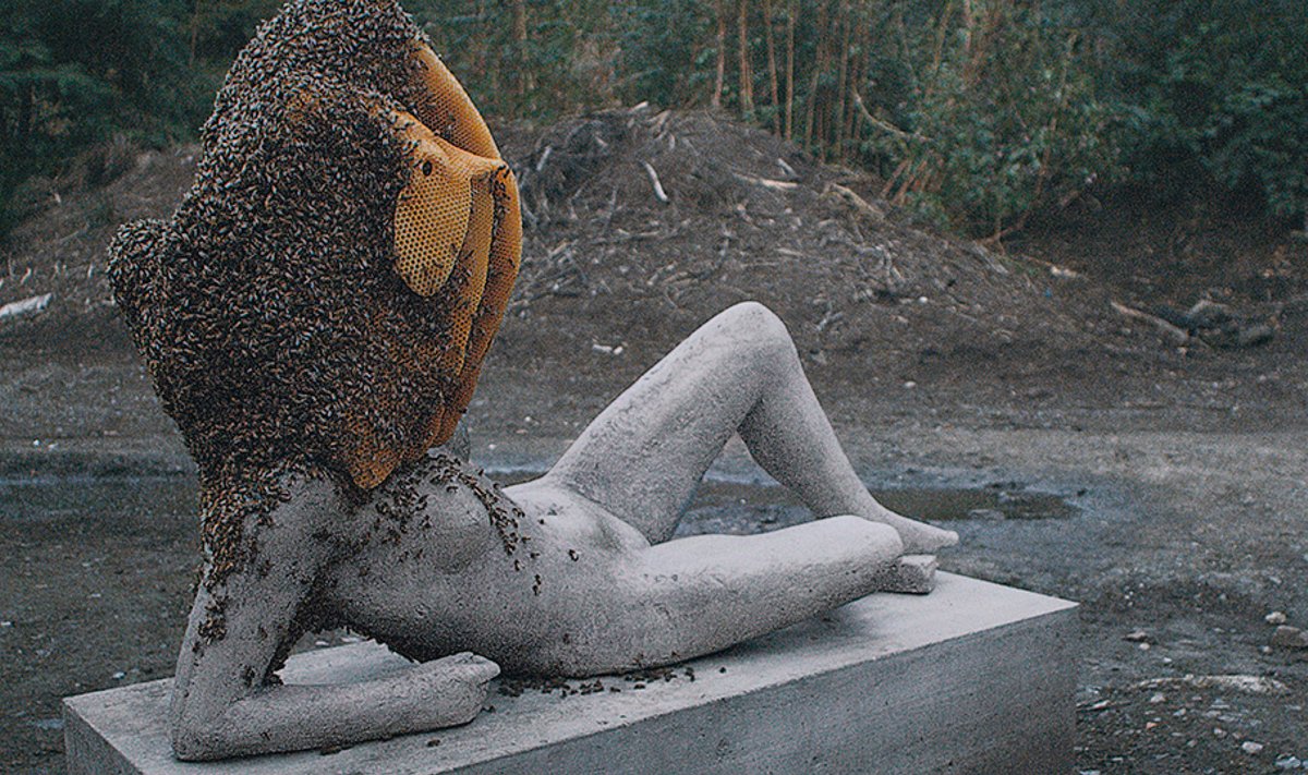 Pierre Huyghe "A Way in Untilled"