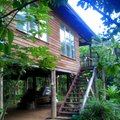 Elu unistustesaarel Fidžil: asun elama majja džunglis, kus mu nõukaajast pärit arvamus saab tugeva hoobi