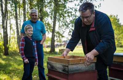 Kolm põlvkonda koos askeldamas – Aimar mesitaru kallal, noorim poeg Johannes ja isa Vello kõrval vaatamas.