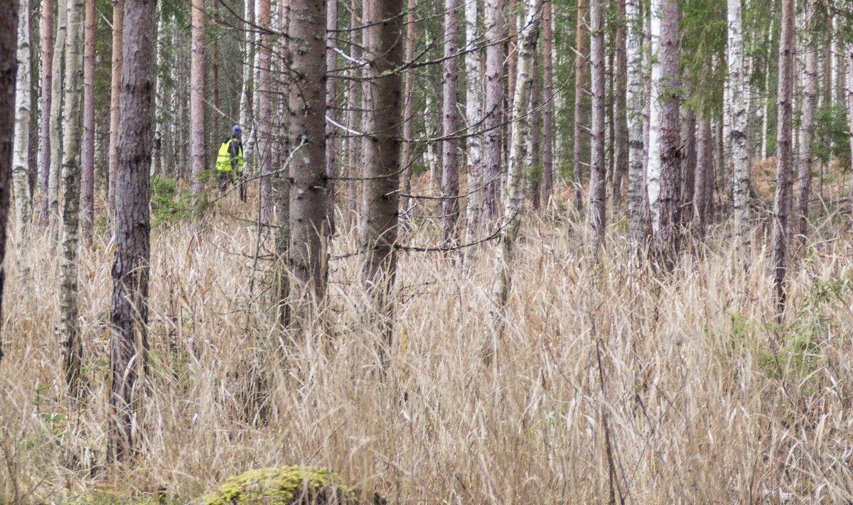 Liigun võimalikult otse, jälgides vasakut ja paremat naabrit. Kui kõrvalt kostab: „22, ma ei jõua järele,” tõmban tempo maha.