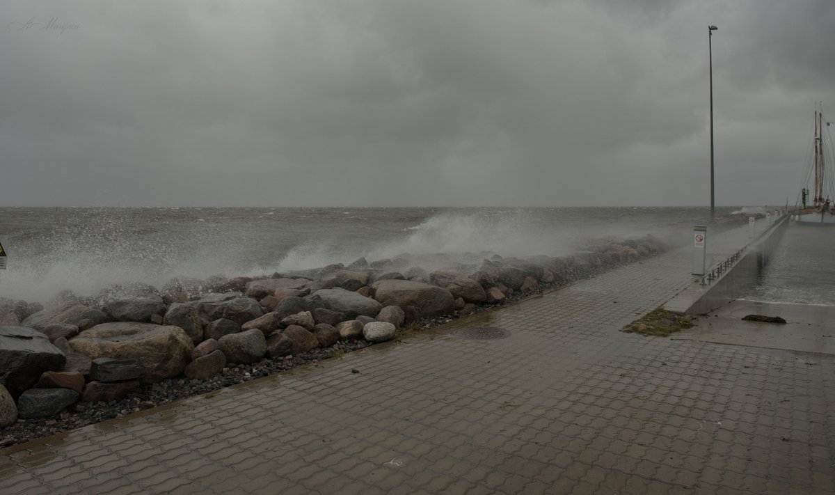 Torm Kärdlas