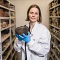Teadlane: võib eeldada, et juba pronksiajal valmistati Eestis juustu