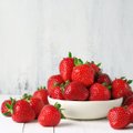 ABIKS SORDIVALIKUL | Kuidas maitsevad uuemate maasikasortide viljad?