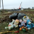 Суд по MH17 в Нидерландах: на Украину из России отправилось два "Бука"