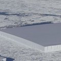 Teadlasi ajab hämmeldusse kummalise kujuga jäämägi Antarktika lähedal