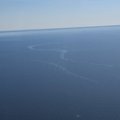 Вблизи Тойла обнаружено загрязнение моря