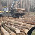 Kesk-Euroopas möllanud tormid ja üraskite hordid annavad Eesti metsameestele tööd