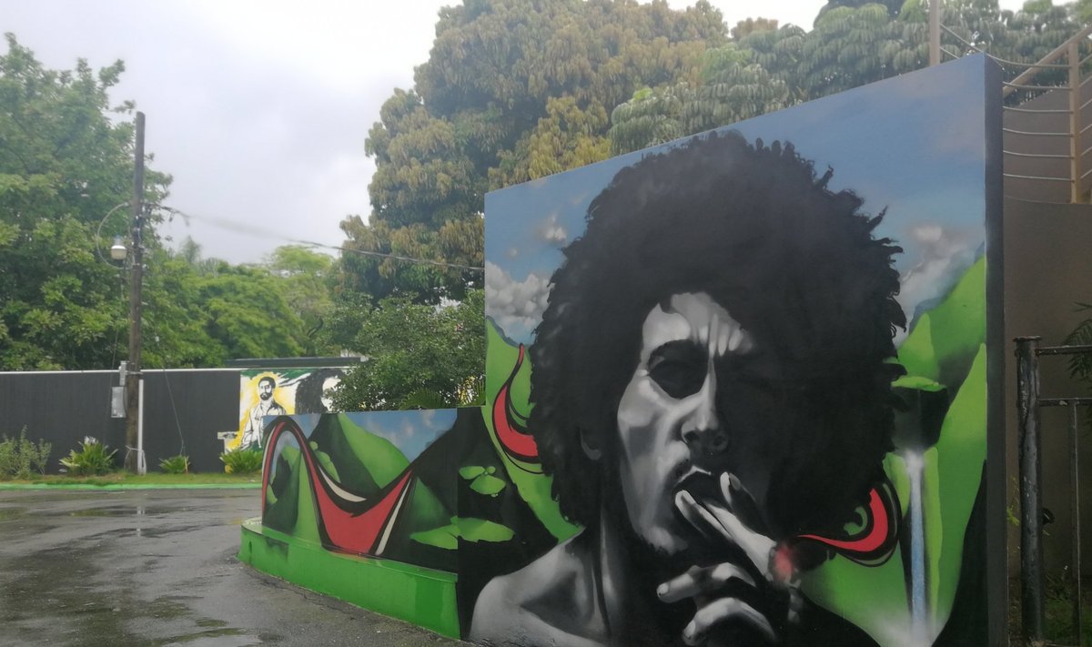 GANJA: kanepisuitsetamine on osa Jamaica kultuuripärandist. Pärandi austamine pole siiski täiesti legaalne.