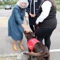 VIDEO JA FOTO | Kuninglik austusavaldus! Cornwalli hertsoginna Camilla tervitas koroonadetektiividest koeri