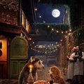 TREILER | Disney toob klassikalise animatsiooni "Leedi ja lontu" täiesti uues kuues vaatajate ette