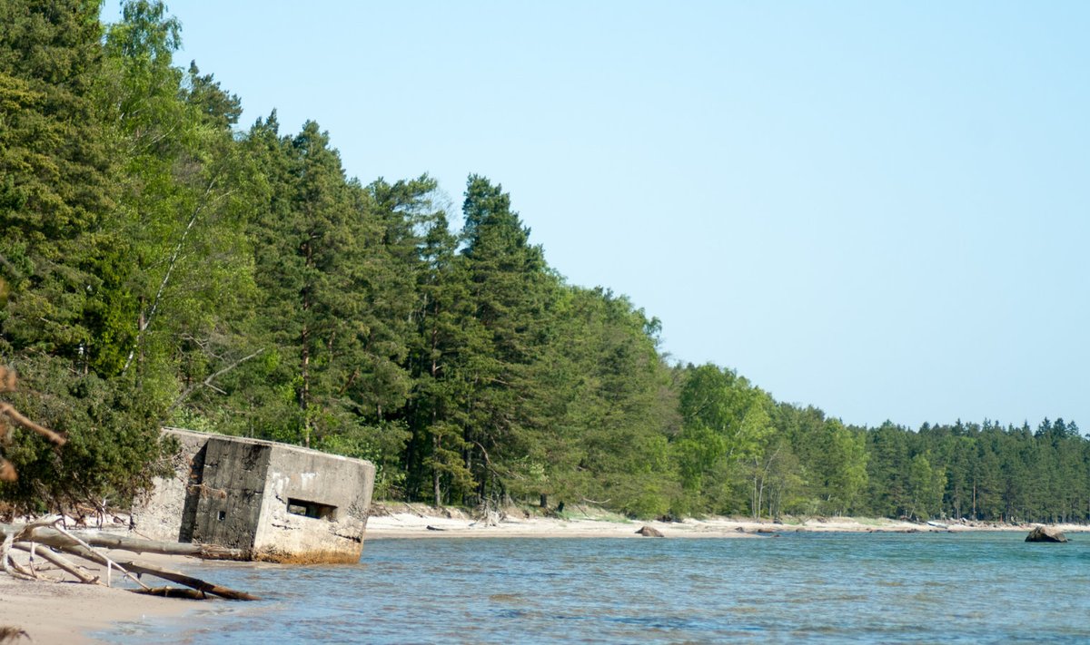Foto: Enn Sutting / ajakiri Kaitse kodu!