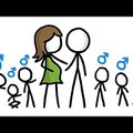 VIDEO| Miks sünnib poisse rohkem kui tüdrukuid?