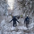 Elektrilevi: Saaremaa pikim elektrikatkestus detsembris kestis 5-6 päeva