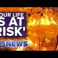 ВИДЕО: В Австралии природные пожары охватили миллион гектаров. Есть жертвы