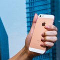 Сотрудник Apple раскрыл журналистам подробности работы над iPhone 8
