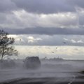 На Эстонию обрушился шторм. Метеорологи повысили уровень опасности, возникли перебои в авиасообщении