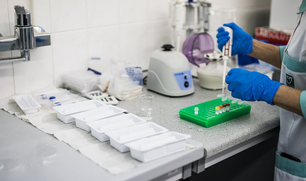 Mastiiditekitajaid määratakse sama tehnoloogiaga nagu COVIDi viirust – PCR-testiga.
