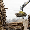 GRAAFIK | Valitsus lükkab Narvas jälle puidu ahju - kuidas mõjub see meie elektriarvele ja puiduturule laiemalt?