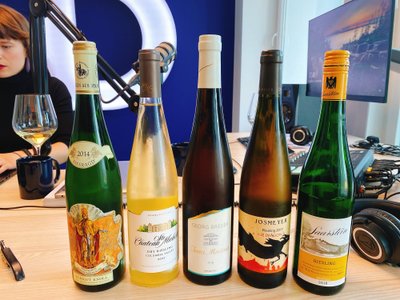 Riesling veinide valik saates proovimiseks. Suurepärane läbilõige marja võimekusest.