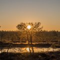 VIDEO | Retked Eesti looduses: meenuta lõppeva aasta matkaelamusi ja tee rännuplaane uueks aastaks