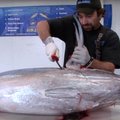 VIDEO: Vaata, kuidas fileerida tervet tuunikala