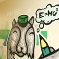 NÄDALA TEGIJA! Värvikirevad FOTOD: Stiilimuutus tegi Kadrina keskkoolist ühe kõige erilisemalt kujundatud kooli Eestis