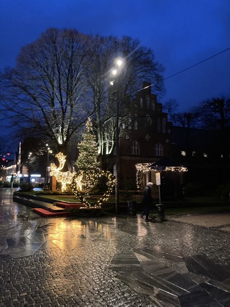 Jõulueelne Taani, Herning