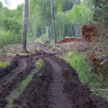 PÖÖRDUMINE | Taanlaste osa Eesti metsade ülekasutuses
