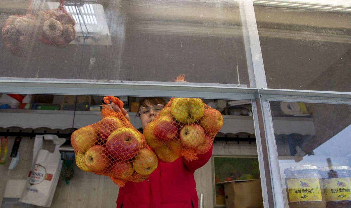 Türi turul kaubelnud Virve Kutter näitab väidetavalt Tallinna keskturult ostetud ja Vasula aiast pärit õunu. Vasula aiast need siiski pärit ei ole.