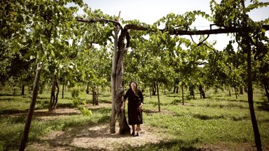 Feudi di San Gregorio: veinid, mis peegeldavad elurõõmu