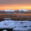 Lepiti kokku maailma suurima merekaitseala loomises Antarktikasse