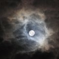 Суперлуние 24 июня 2021 года: как полная Луна повлияет на жизнь знаков Зодиака