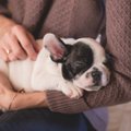 Reisihing või loomasõber: Uus veebileht, mis võimaldab ööbida unistuste majas ja vastutasuks hoida silm peal kohaliku pere lemmikloomadel