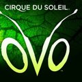 ОVО – новое грандиозное шоу Cirque du Soleil – скоро в Эстонии!