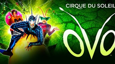 ОVО – новое грандиозное шоу Cirque du Soleil – скоро в Эстонии!