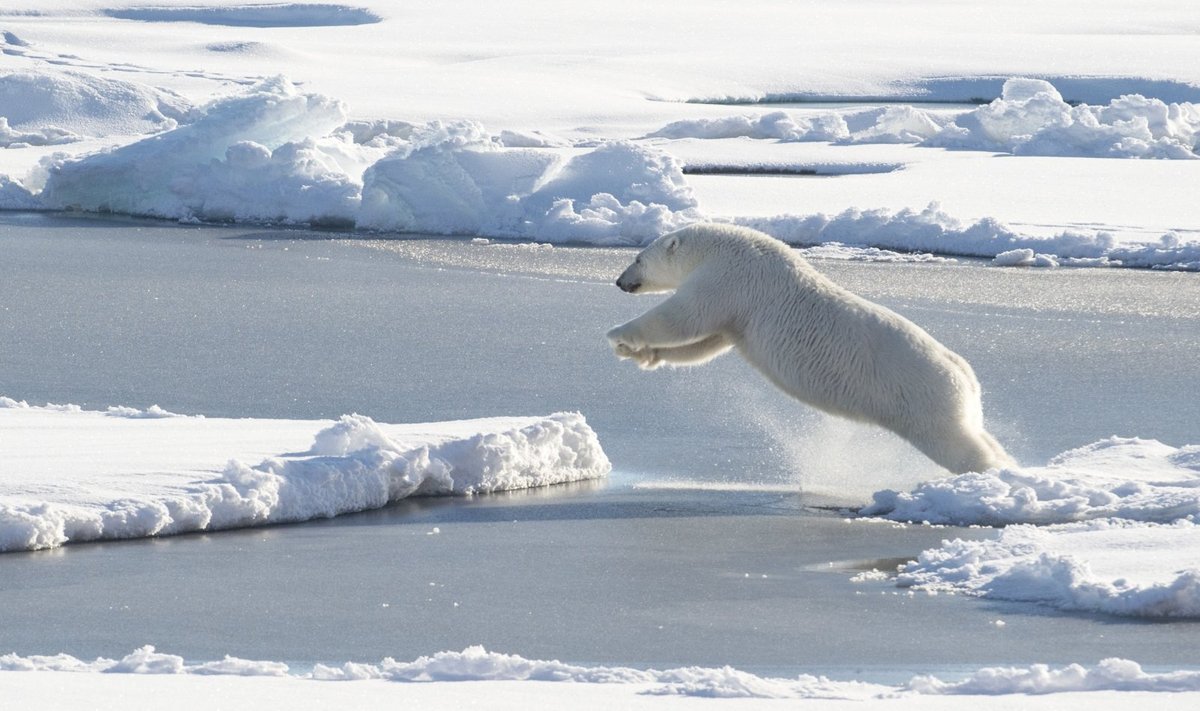 Arktika jää sulamine on kliimasoojenemise mõttes olulisem kui Antakrtika jää.