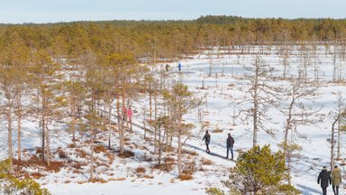Eestil on kaks kuud aega täpsustada Natura alade kaitsmise korda