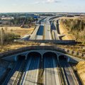 Rail Balticu trassil võidakse vähendada ökoduktide arvu
