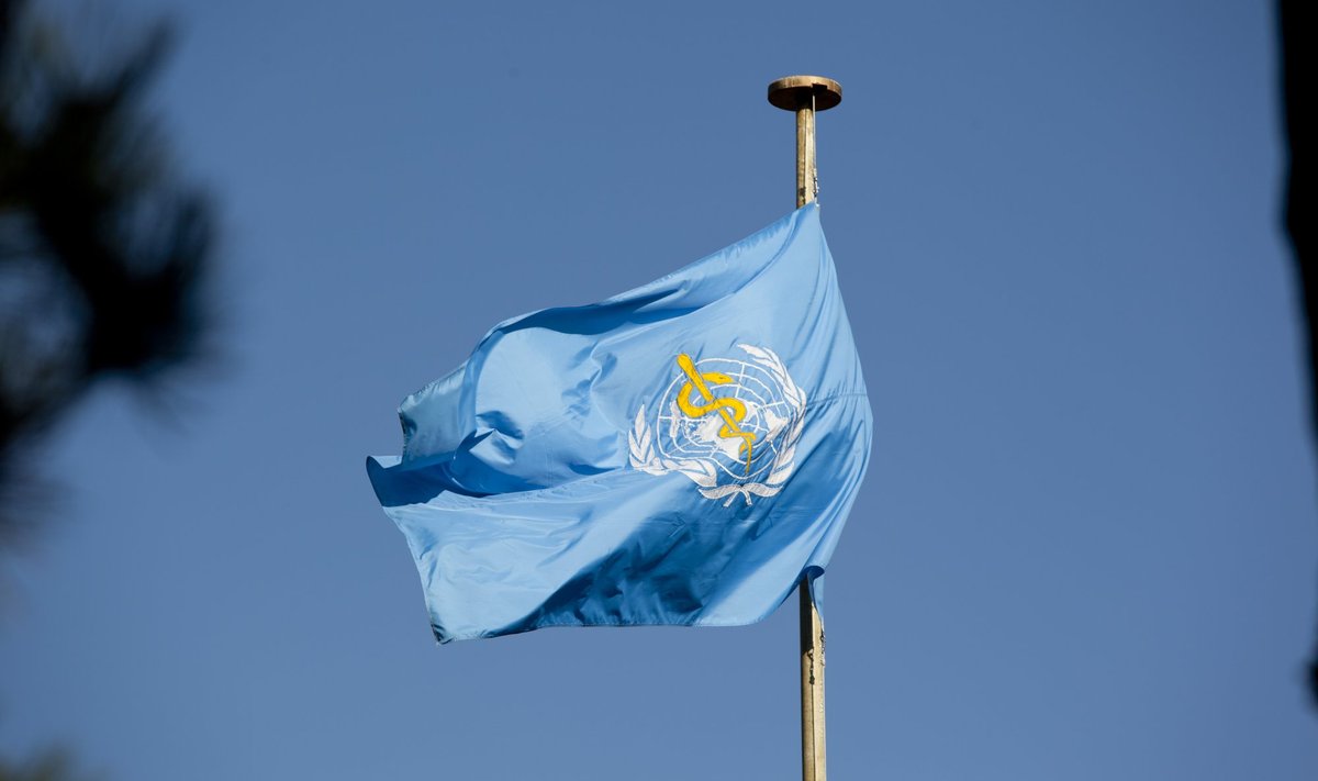 Maailma terviseorganisatsiooni lipp.