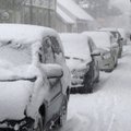 В Эстонии ожидается обильный снегопад. Температура упадет до -9°C
