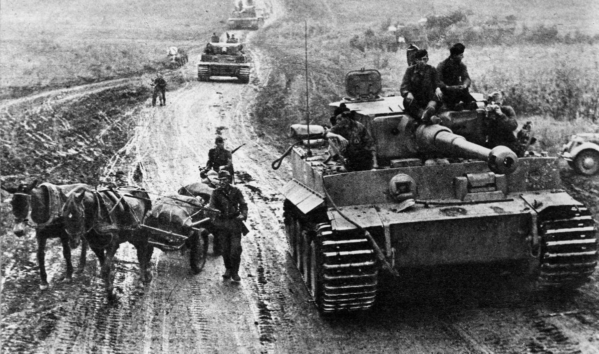 LEOPARDI EELKÄIJA: Saksa Tiiger 1943. aastal idarindel.