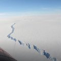 В Антарктиде образовался огромный айсберг. По площади он в 8 раз больше Таллинна!