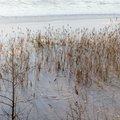 Lämmi- ja Pihkva järve jääle minek on eluohtlik, Peipsi jää veel kannab