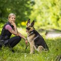 Eestlannast loomabioloog: vigu tehakse juba heast südamest varjupaigast koera võttes