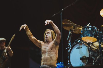 Iggy Pop Positivusel