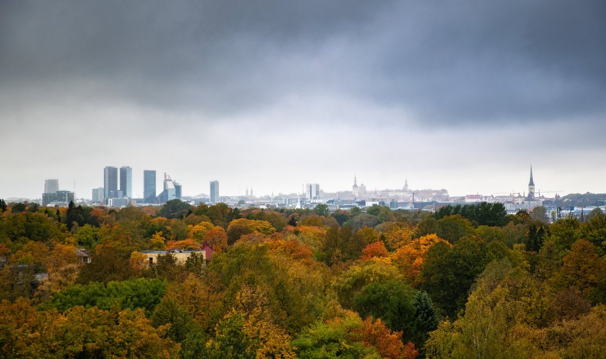 Sügisilm Tallinnas