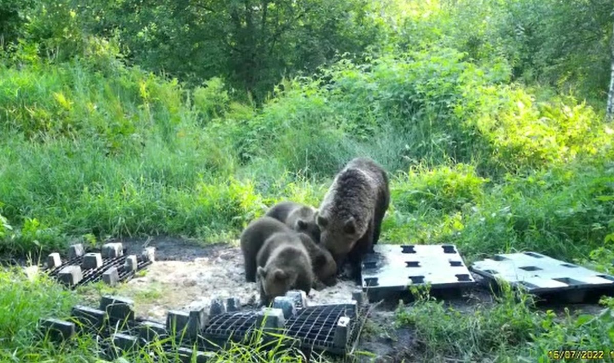 Kuvatõmmis videost.