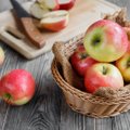 KUULA SAADET Toidujutud | Milline Eesti õun on eestlaste lemmik juba aastaid?