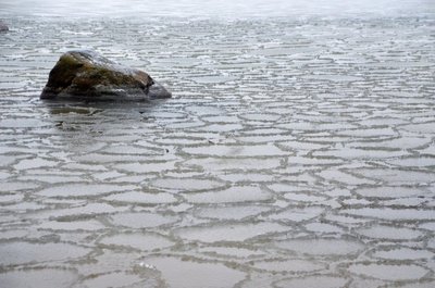 Vaiksemate lahesoppide kaldal matkates võib aga juba õrna taldrikjääd märgata.